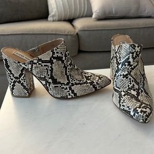 Steve Madden - Crocodile Heeled Mule - Size 8.5